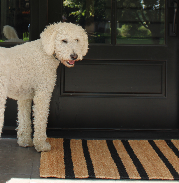 Handcrafted Striped Jute Rug in Natural and Black, 2 x 3
