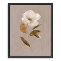 Aged Botanical I Canvas Giclee