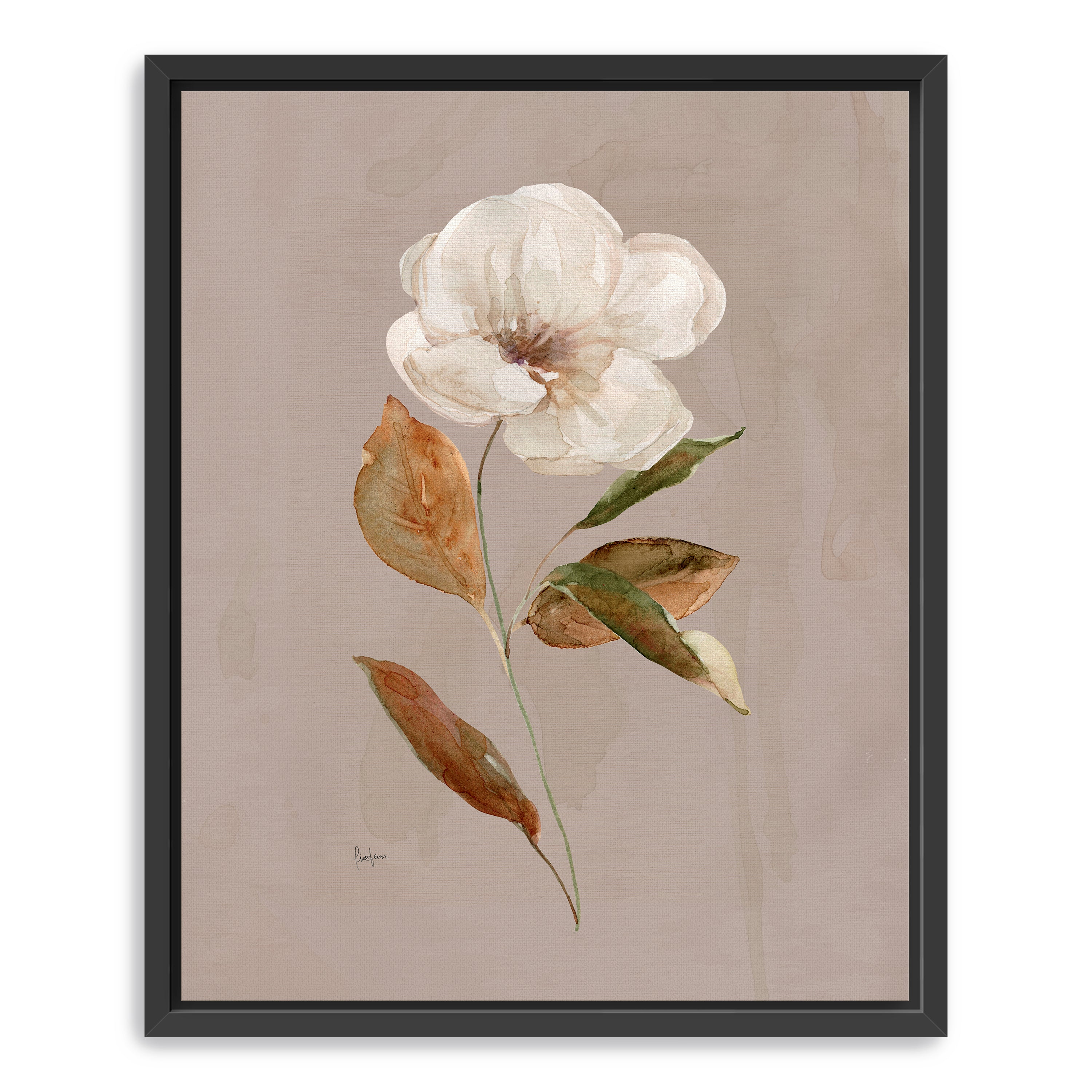 Aged Botanical I Canvas Giclee