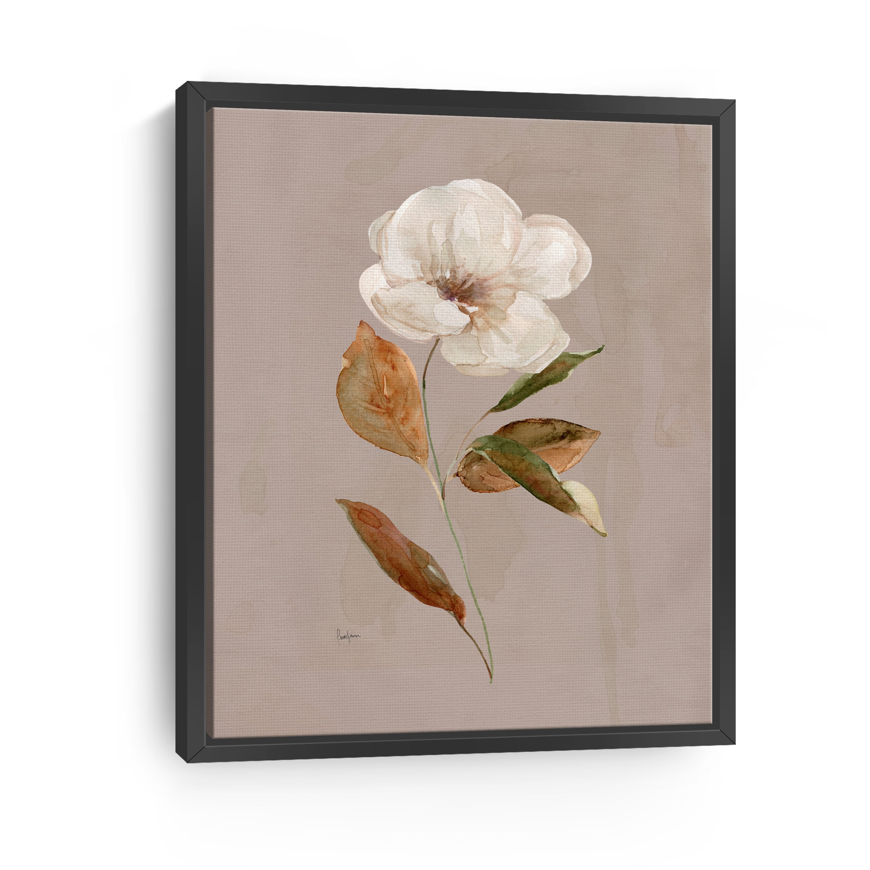 Aged Botanical I Canvas Giclee