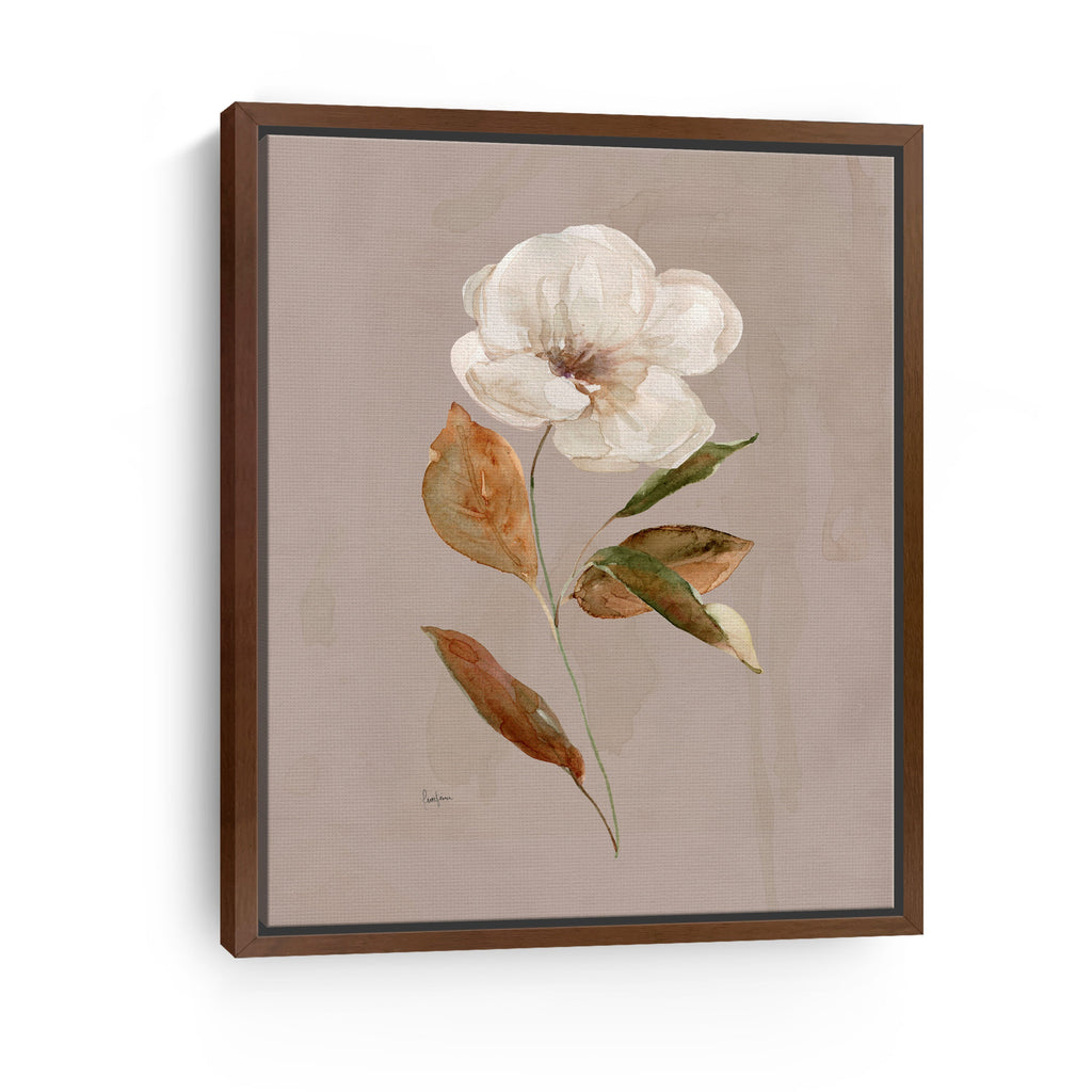 Aged Botanical I Canvas Giclee