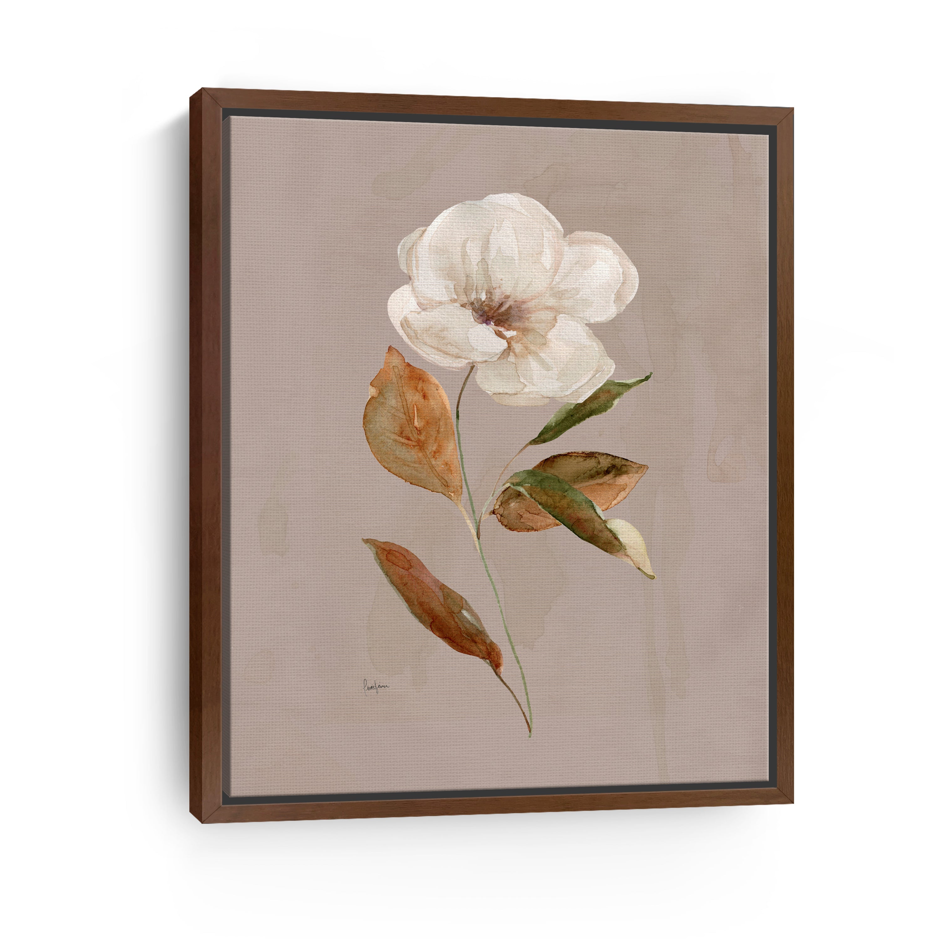 Aged Botanical I Canvas Giclee