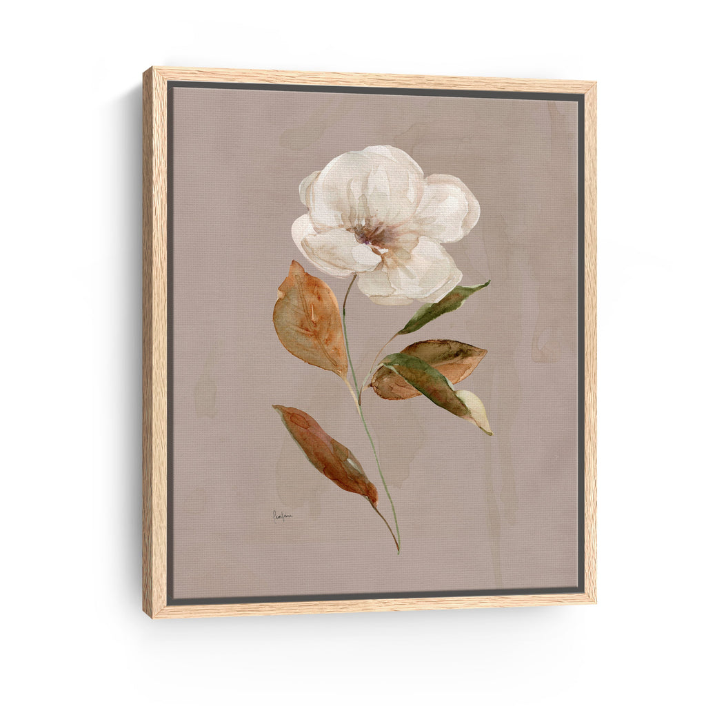Aged Botanical I Canvas Giclee