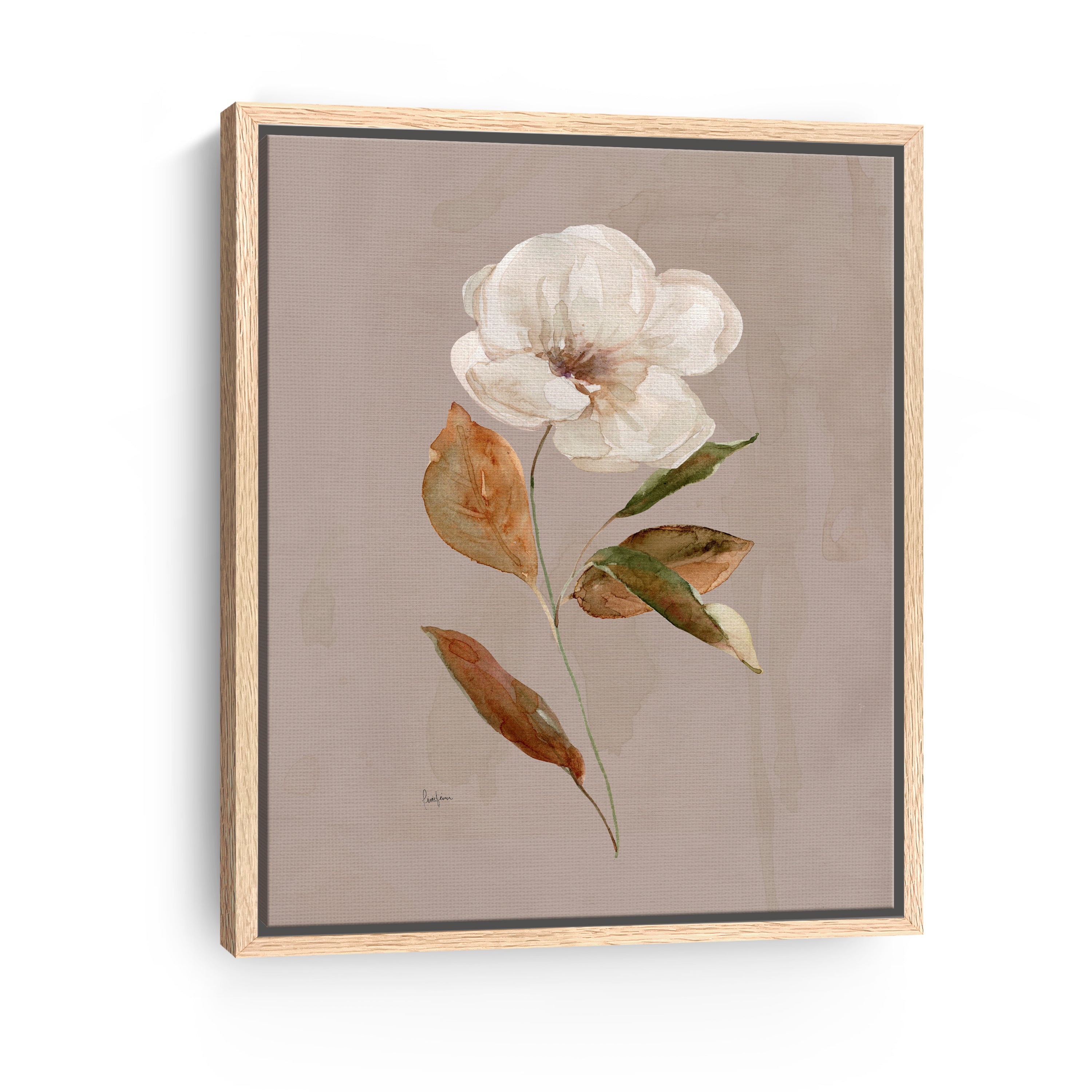 Aged Botanical I Canvas Giclee