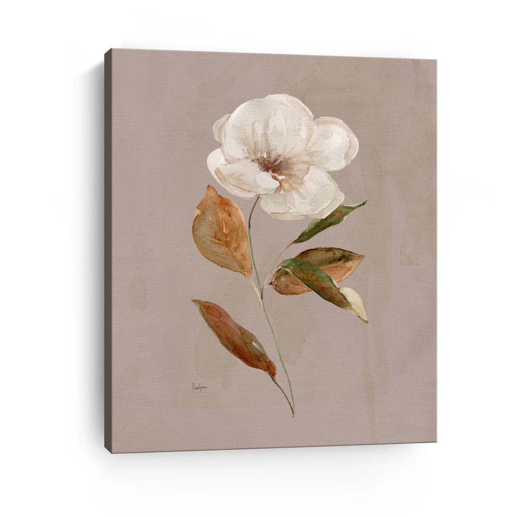 Aged Botanical I Canvas Giclee