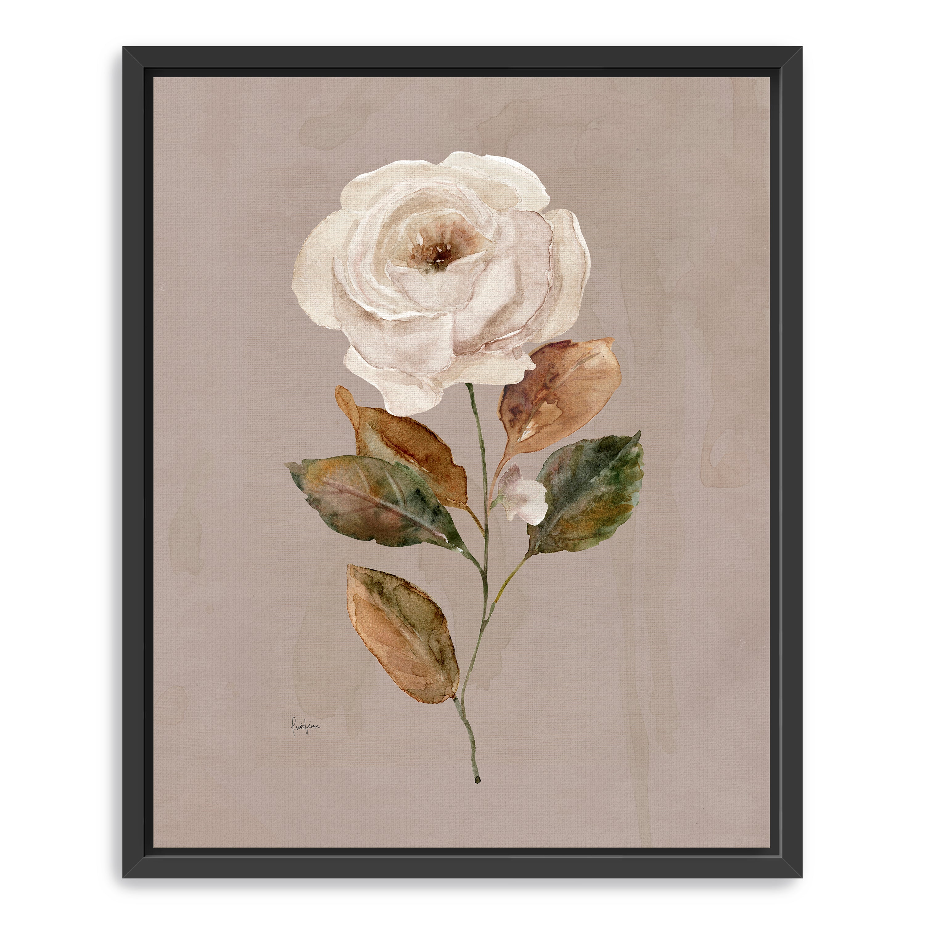 Aged Botanical II Canvas Giclee