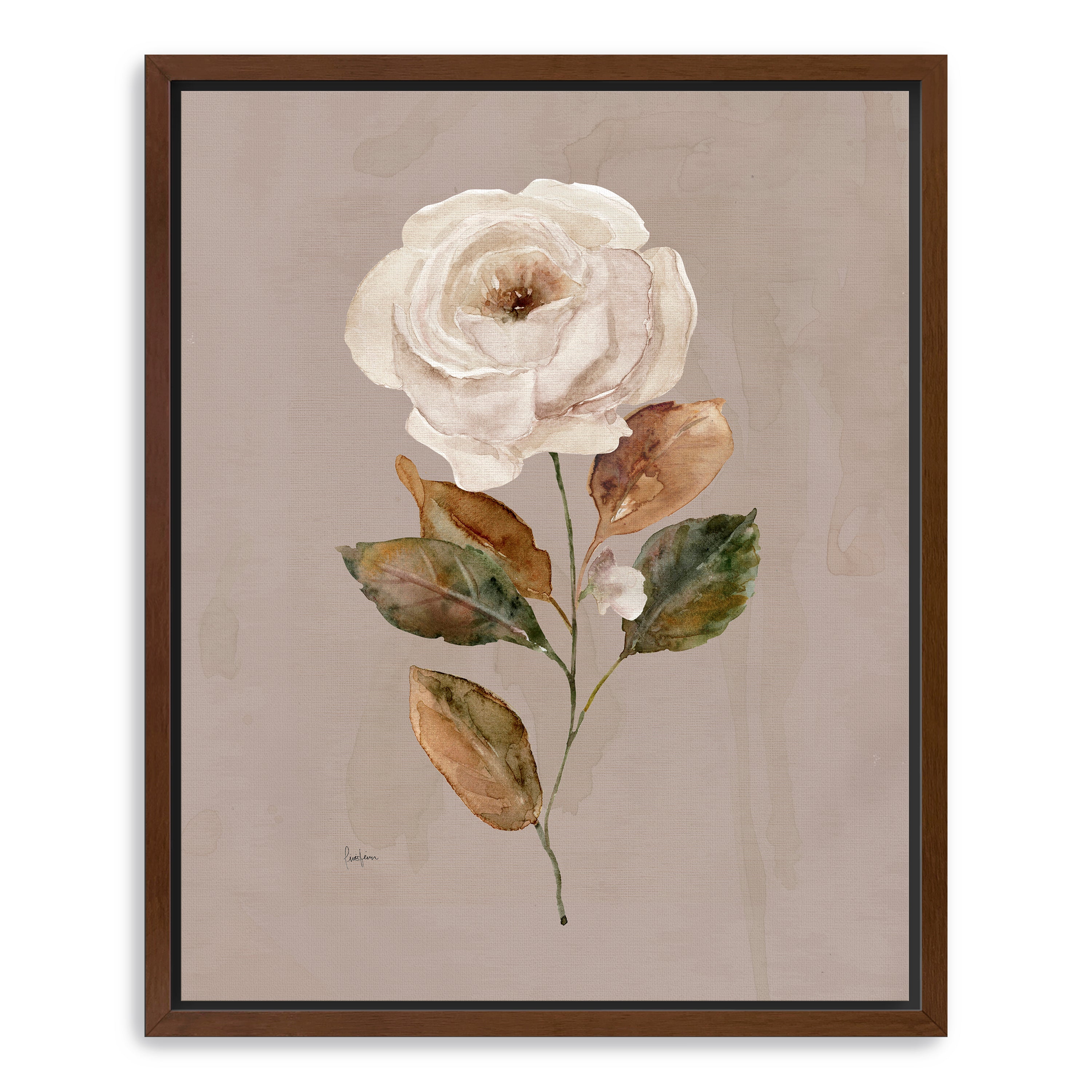 Aged Botanical II Canvas Giclee