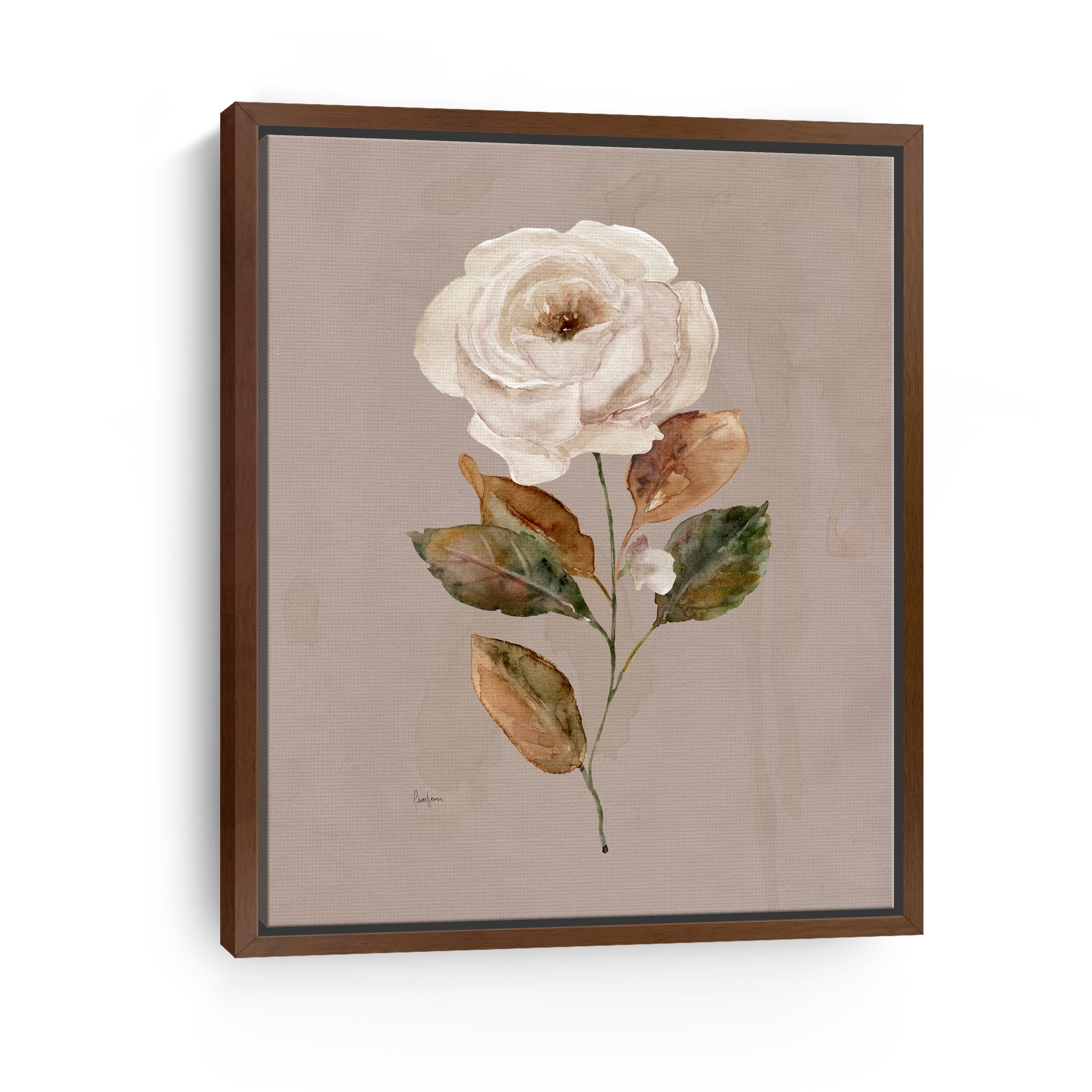 Aged Botanical II Canvas Giclee