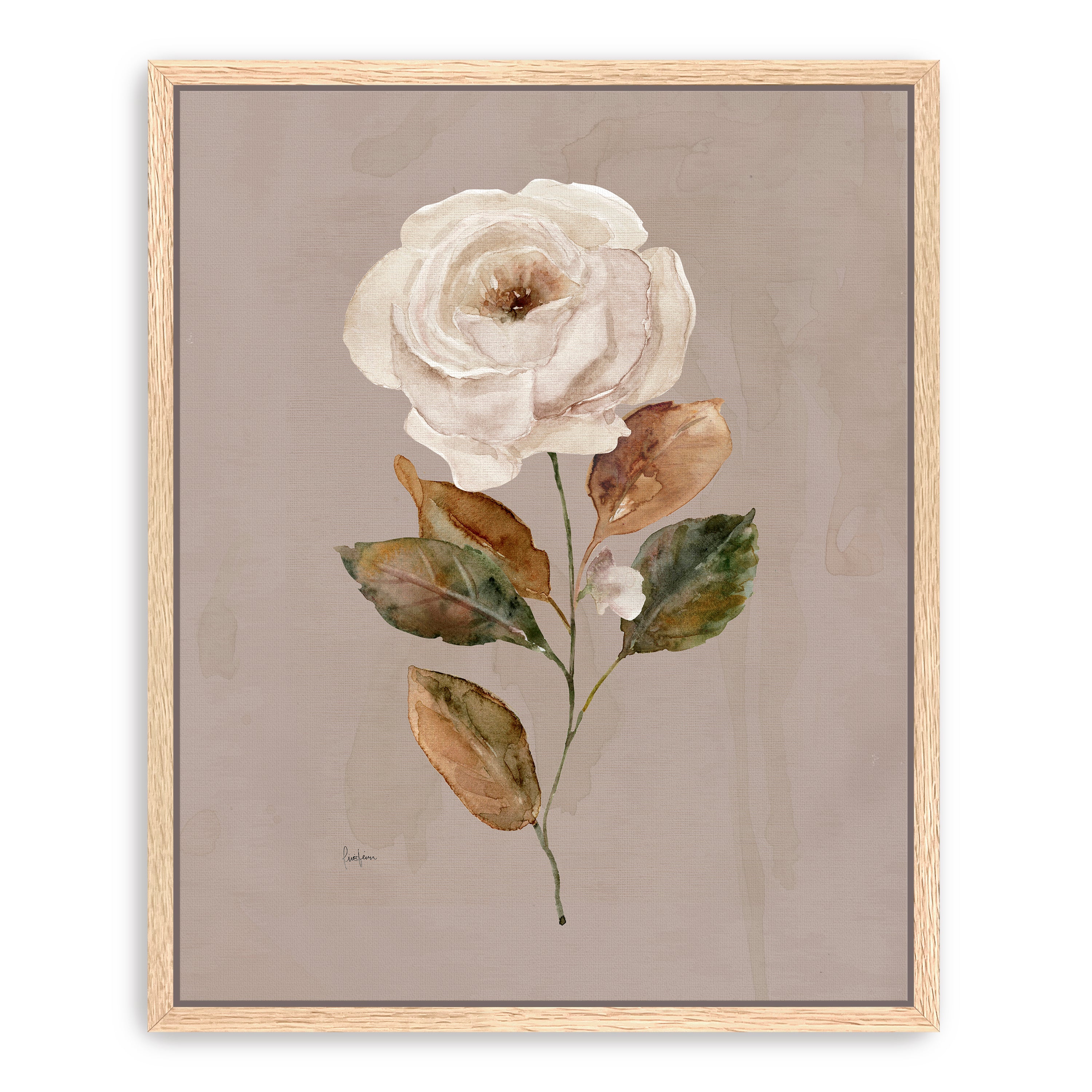 Aged Botanical II Canvas Giclee