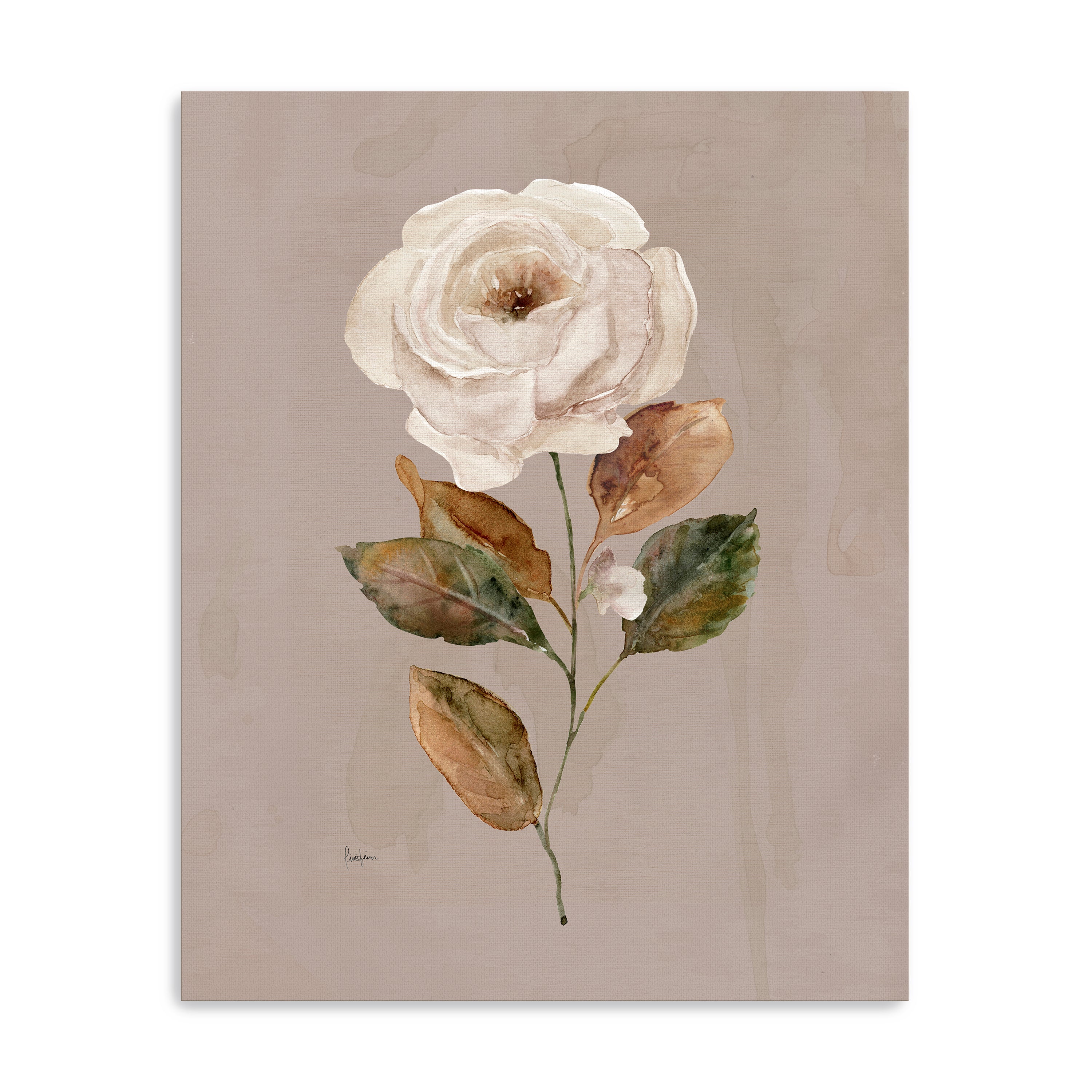 Aged Botanical II Canvas Giclee