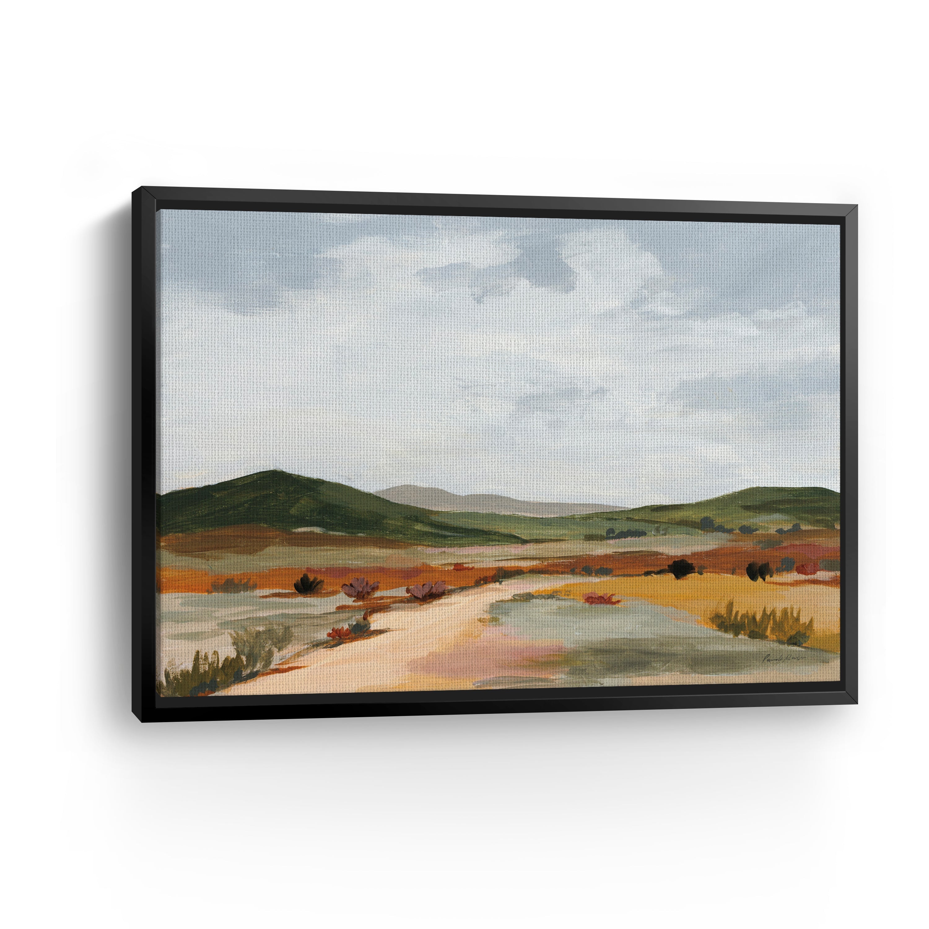 Desert Floor Canvas Giclee