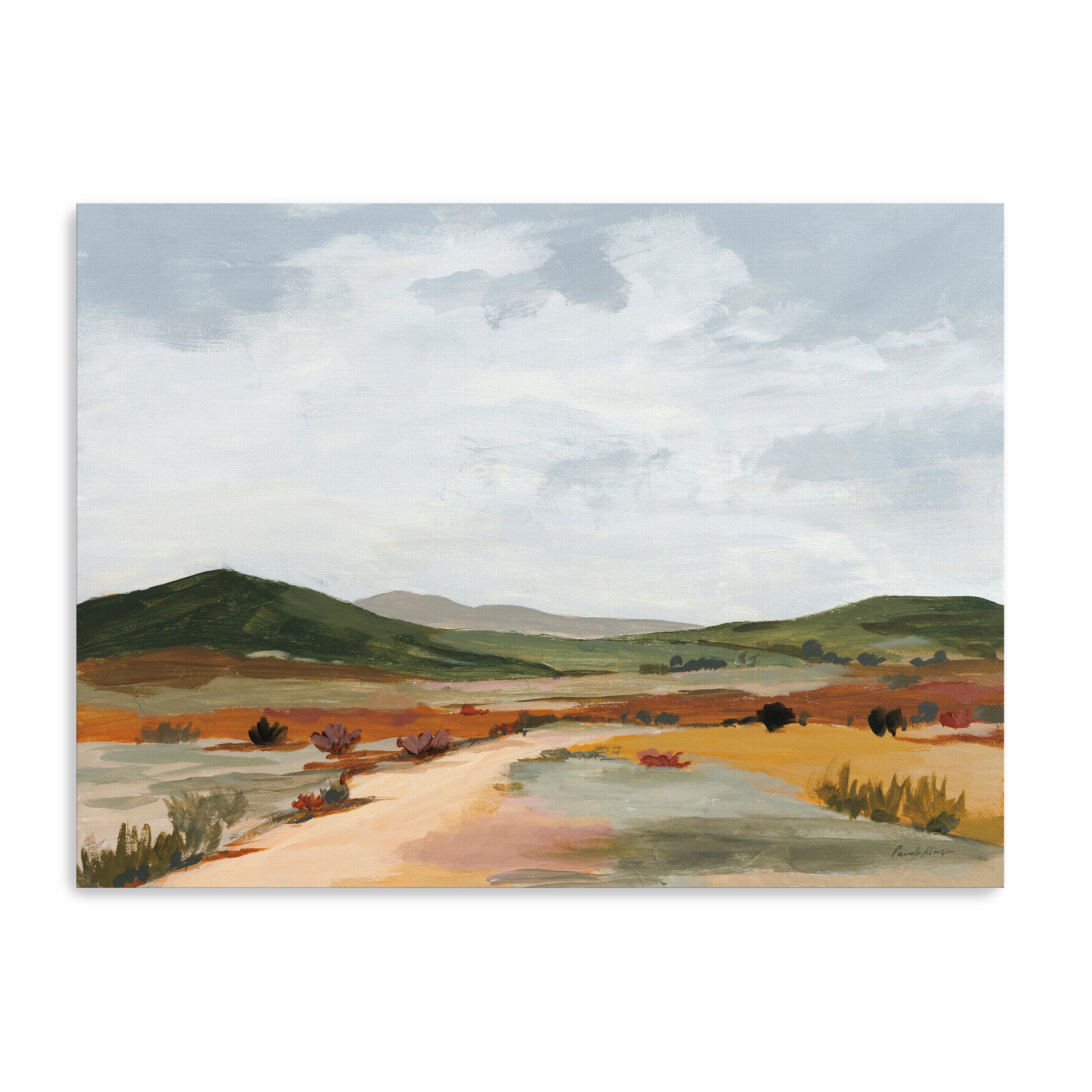 Desert Floor Canvas Giclee