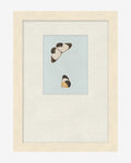 Butterflies Study I