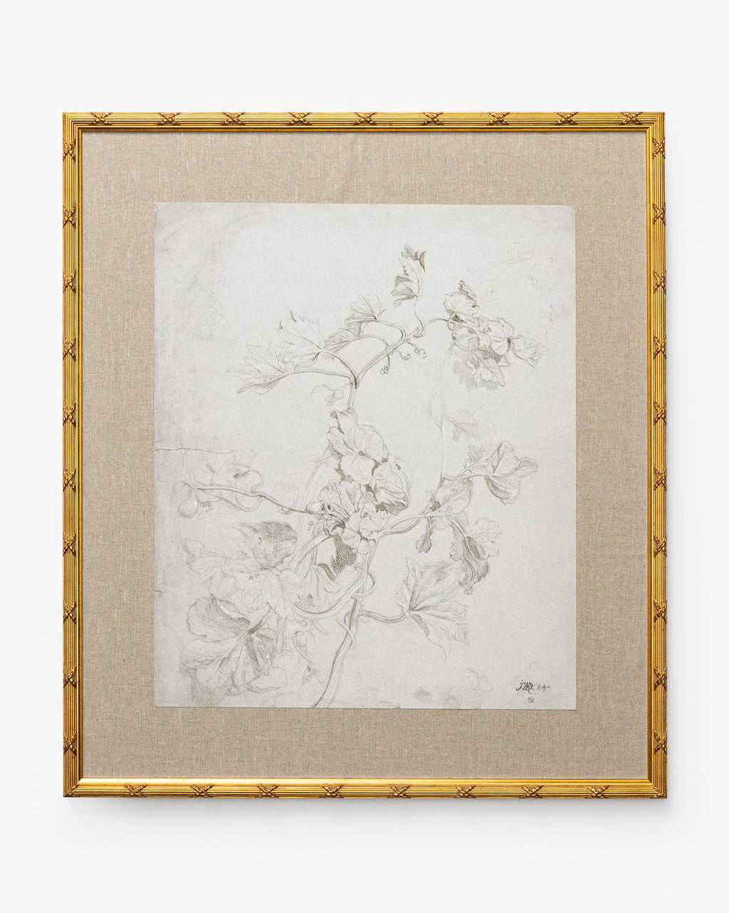 Feathery Floral