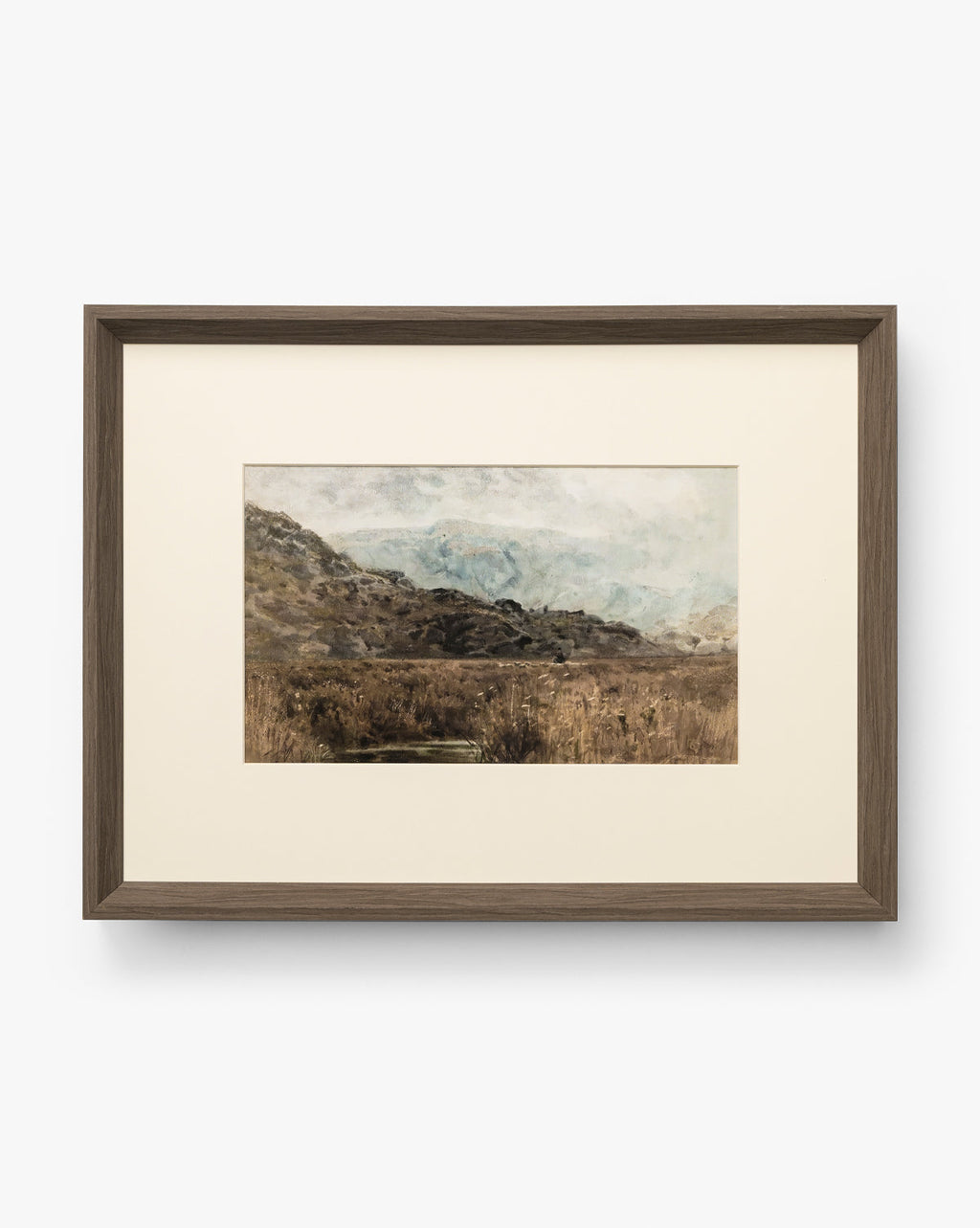 Marshland