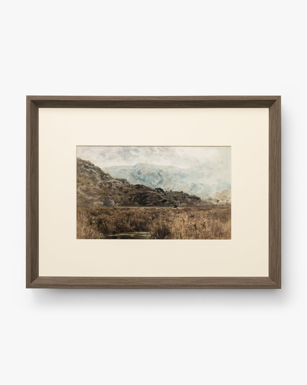 Marshland