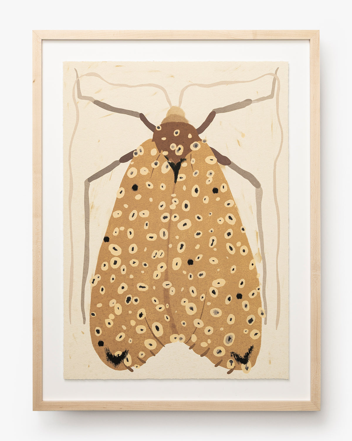 Moth IV By Coup d'Esprit