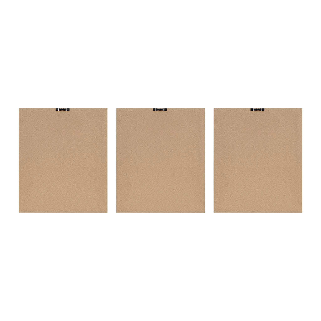 3-Piece Wall Art Set with Botanical Floral