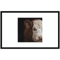 Cow Close by Emiko and Mark Franzen F2 Images Framed Wall Art Print
